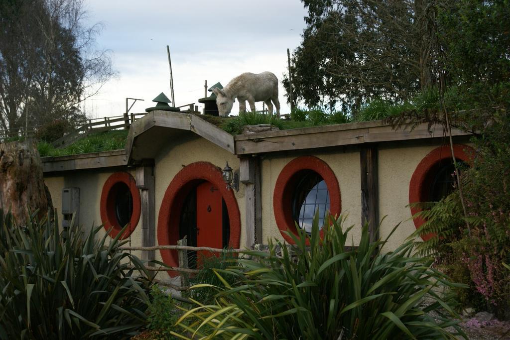 Woodlyn Park Motel Waitomo Caves Eksteriør bilde
